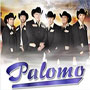 Palomo